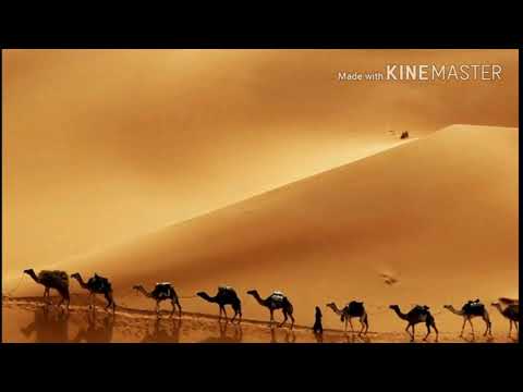 المناطق العشبية و الصحراء