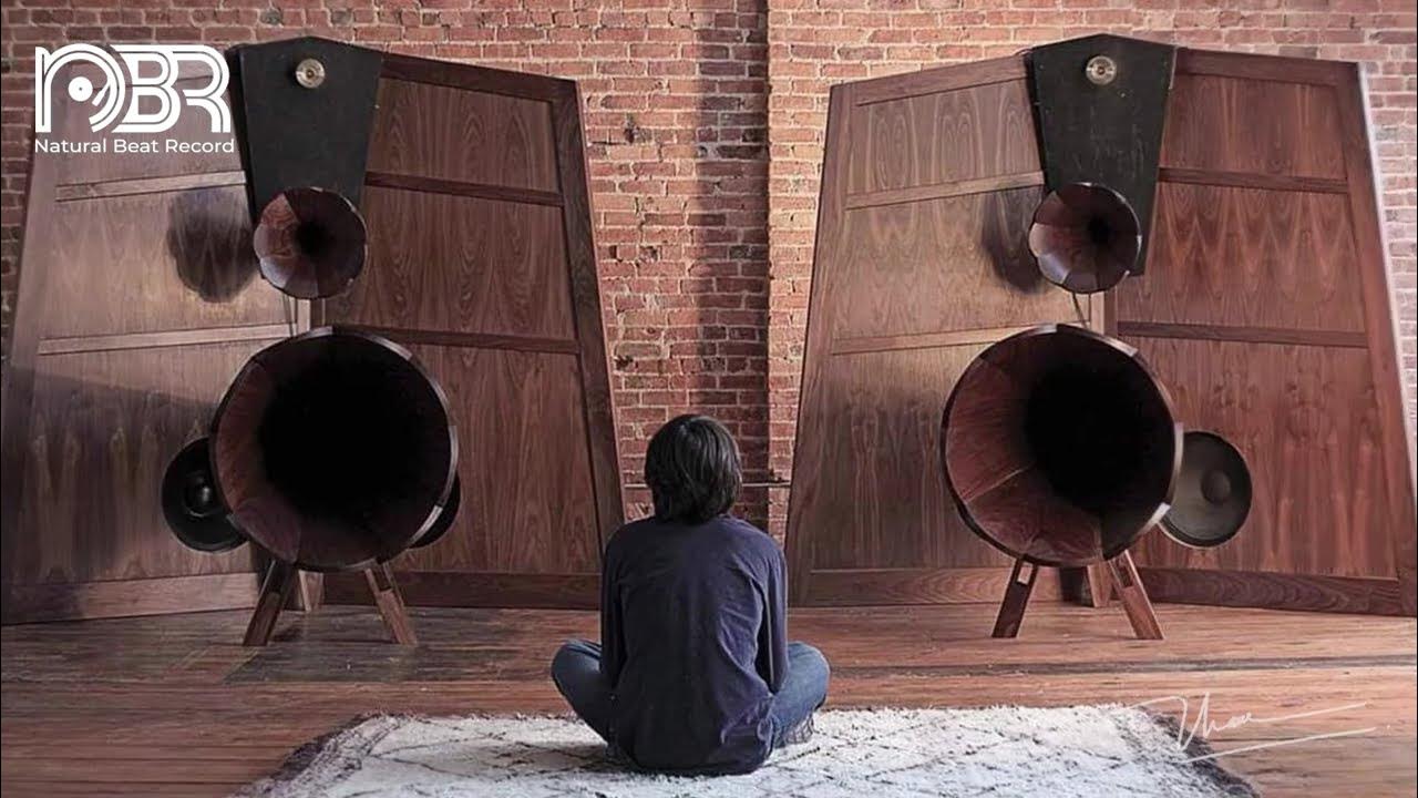 hi-res-audiophile-test-speaker-best-voices-dynamic-sound