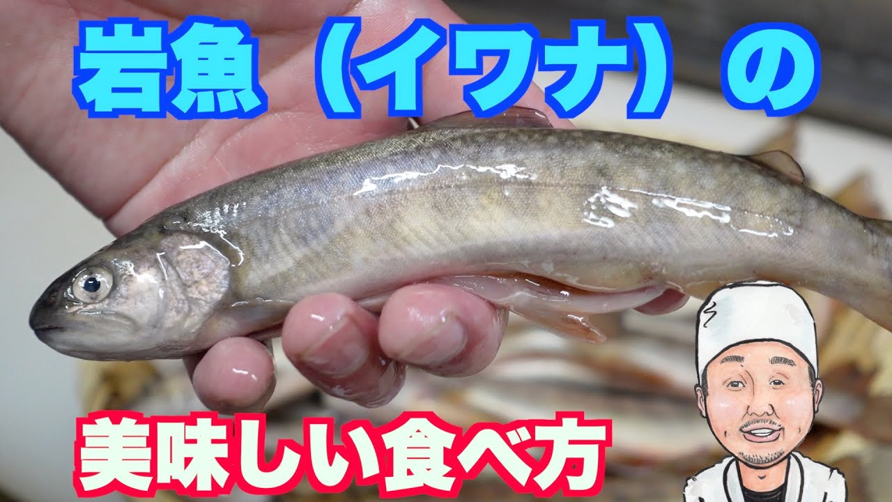 岩魚の美味しい食べ方 衝撃 の美味しさ Youtube