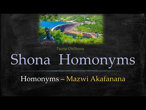 Shona Language. Homonyms