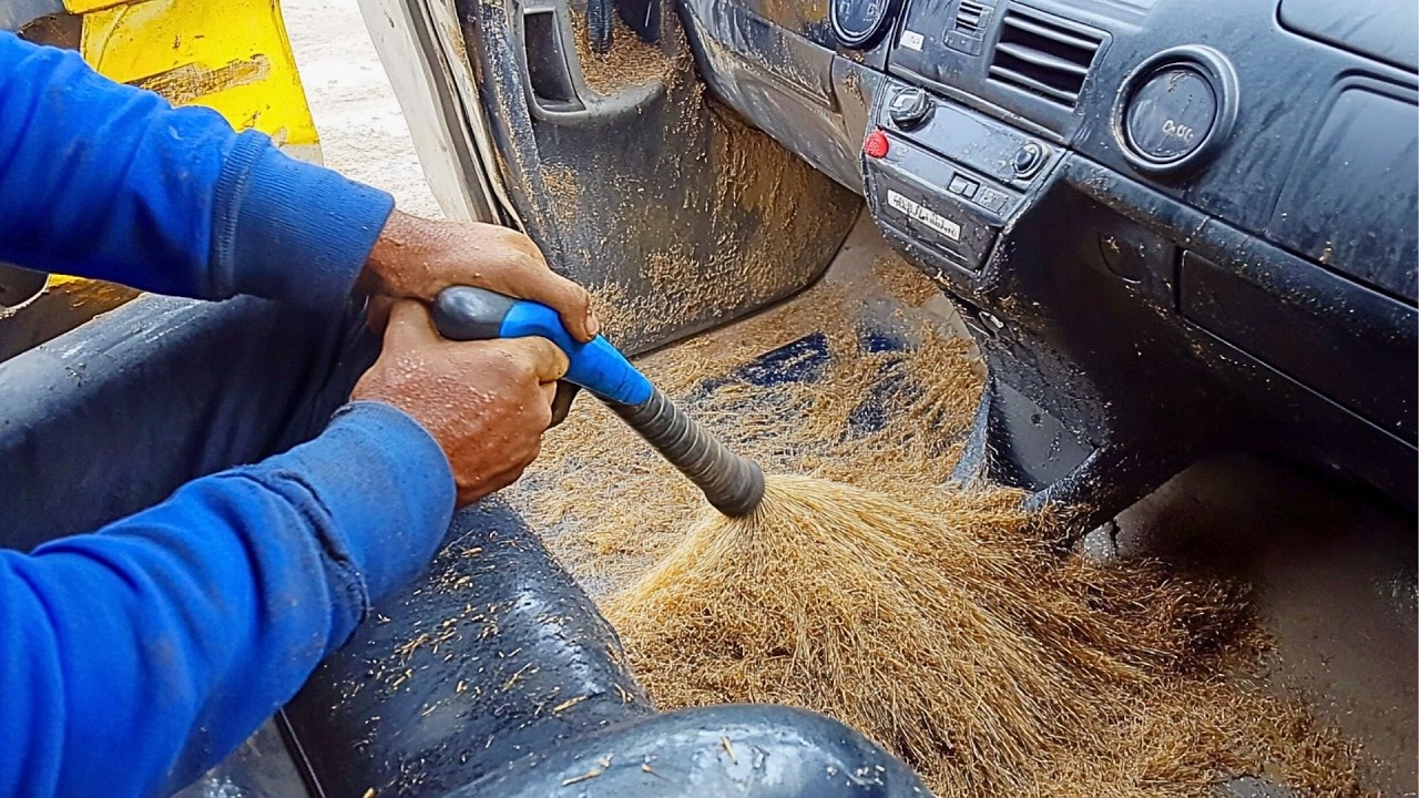 ⁣Man Deep Cleaning DISGUSTING HAIRY Car | Full process by @MansoorDetailing