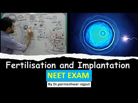 L-4    Fertilisation and implantation