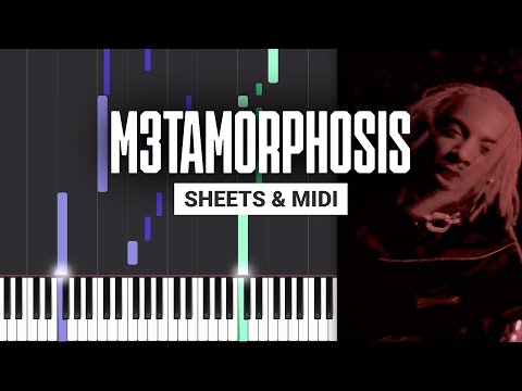 M3tamorphosis - Playboi