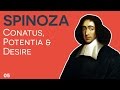 Spinoza - 05 - Conatus, Potentia and Desire