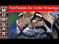 How to use PanPastels for under drawings