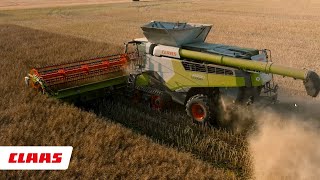 LEXION 8900 : Retour utilisateur sur le CEMOS