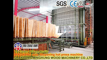 How to Automatic Unloading Stacking Plywood from 30 daylights Hot Press Machine?
