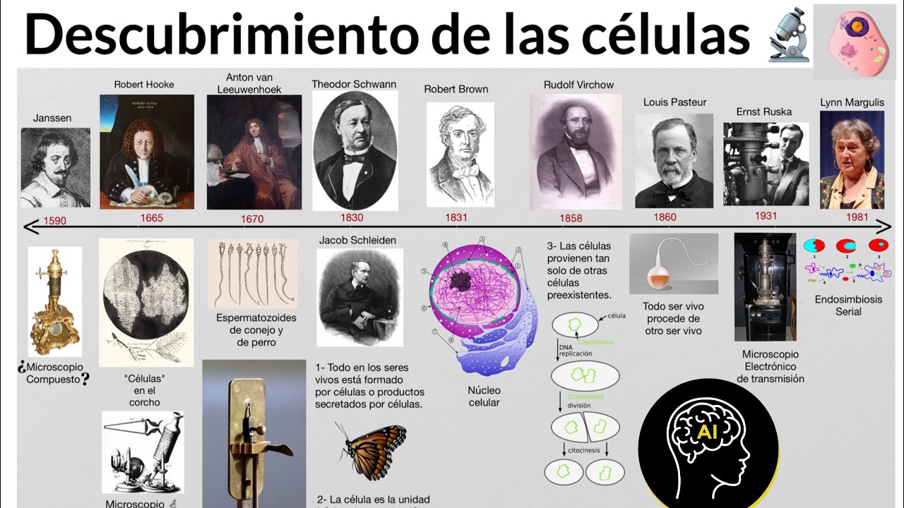 Estudio de la célula a través del tiempo, instrumentos de la biología