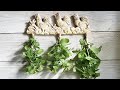 Herbs for Hens™: Five Herbs Your Chickens Will Love