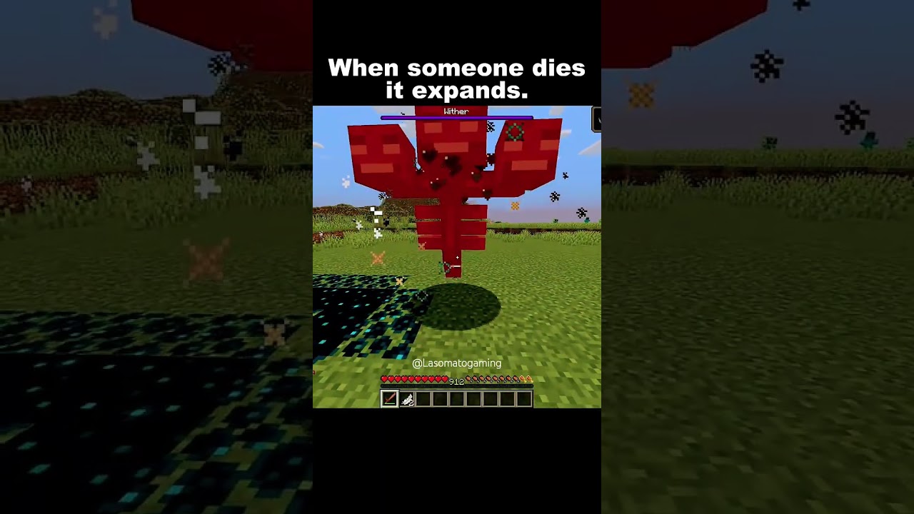 iykyk #Minecraft #manhunts
