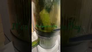 Unlock The Power Of Green Juicing Transform Your Gut Health