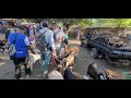 Animales Caprinos  y porcinos en San Miguel El Salvador