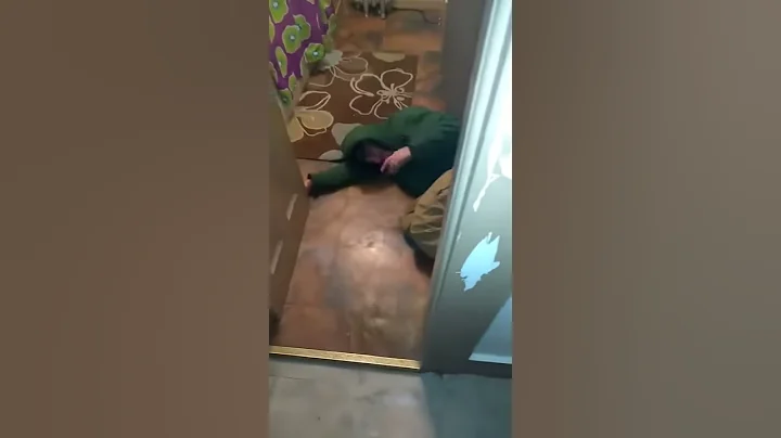 GOOD BOY