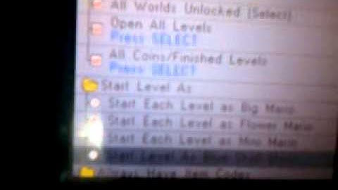 Cheats for New Super Mario Bros. DS (Only R4 GC)