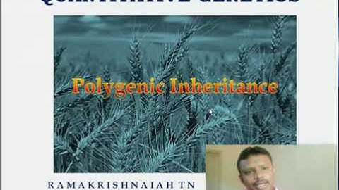 Polygenic Inheritance