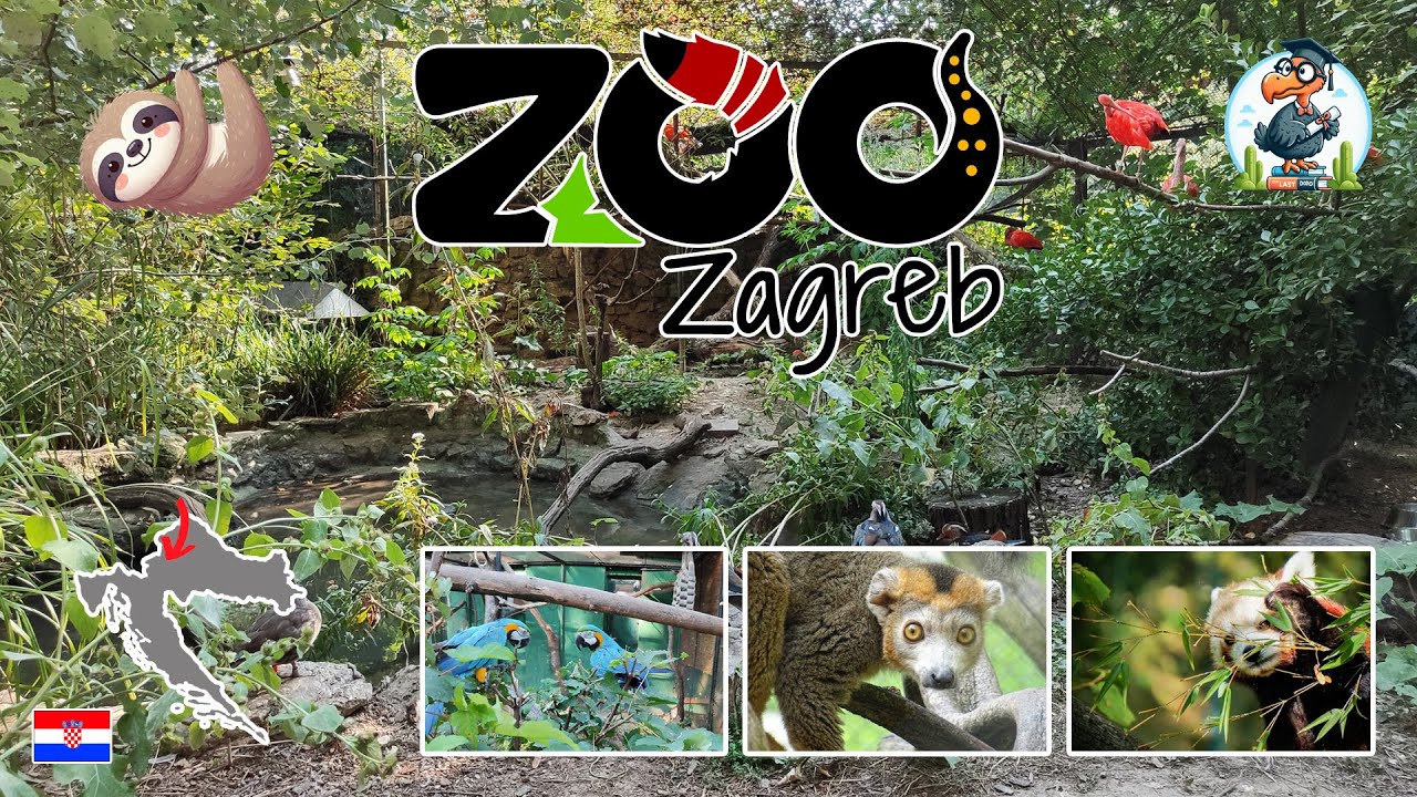 Zoo Zagreb 🦥- Zoo Zagabria 🐼 - Zoološki Vrt Grada Zagreba - Croatia 🇭🇷 - Croazia 🇭🇷