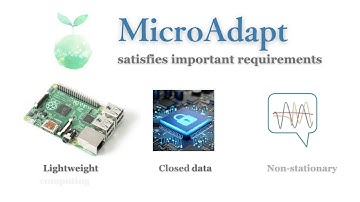 KDD 2025 - MicroAdapt: Self-Evolutionary Dynamic Modeling Algorithms