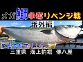 【海上釣堀】「傳八屋」番外編　鯛は釣れるんやけど・・