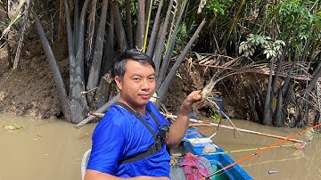 Câu tôm sông ngày nước rồng sát- trúng ổ tôm càng