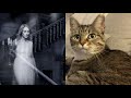 5 signs your cat can see ghosts