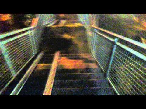 steel construction stairs in tbilisi.-ლითონის კონსტრუქციის გადასასვლელი კიბეები თბილისში.