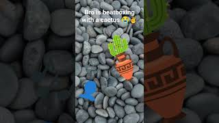 bro #beatbox #rock #cactus #funny #man