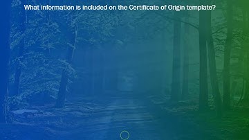 Import Export Business Ideas | Export and Import Certificate of origin   Contact : +91 8341675768