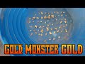Getting GOLD NUGGETS with the GOLD MONSTER in WA