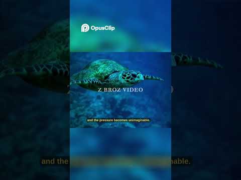 Mariana Trench Home of the Deepest Creatures#earth by Z broz Videos