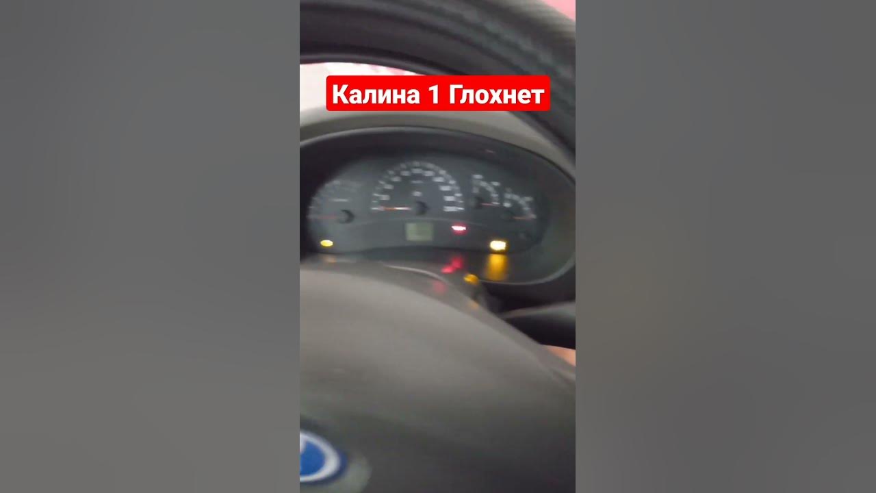 Почему глохнет калина