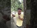 🎬 India Me Cinema Ki Shuruaat Kaise Hui?