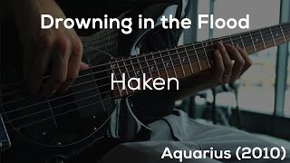 Drowning in the Flood - Haken [HD Bass Cover]