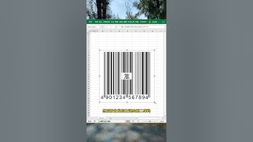 用EXCEL快速制作二维码#每天学习一点点 #职场 #文员 #办公技巧 #EXCEL #办公技巧 #excel #excel技巧