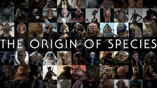 The Origin of Species: How to Design a Star Wars Alien