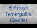 Un paseo por la Sevilla de ayer - El Arroyo Tamarguillo