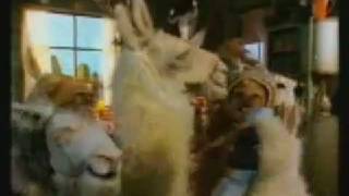 la llama que llama - fiesta maya - video nuevo inedito