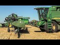 Búza aratás 2018 | John Deere 9680 WTS + W660 + W650 | Harvest 2018
