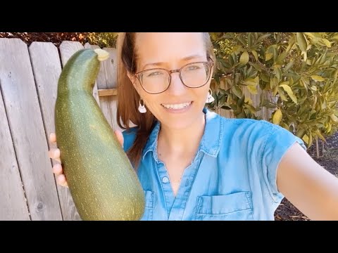 What I Eat In A Day—Vegan Baked Oatmeal, Tofurky Sandos & Udon Noodle Soup
