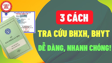 3 Cách Tra Cứu Thông Tin BHXH, BHYT Cực Nhanh Và Dễ Dàng | TVPL