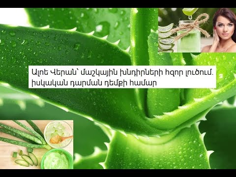 Video: Օրեգանոն չորացնելու 5 եղանակ