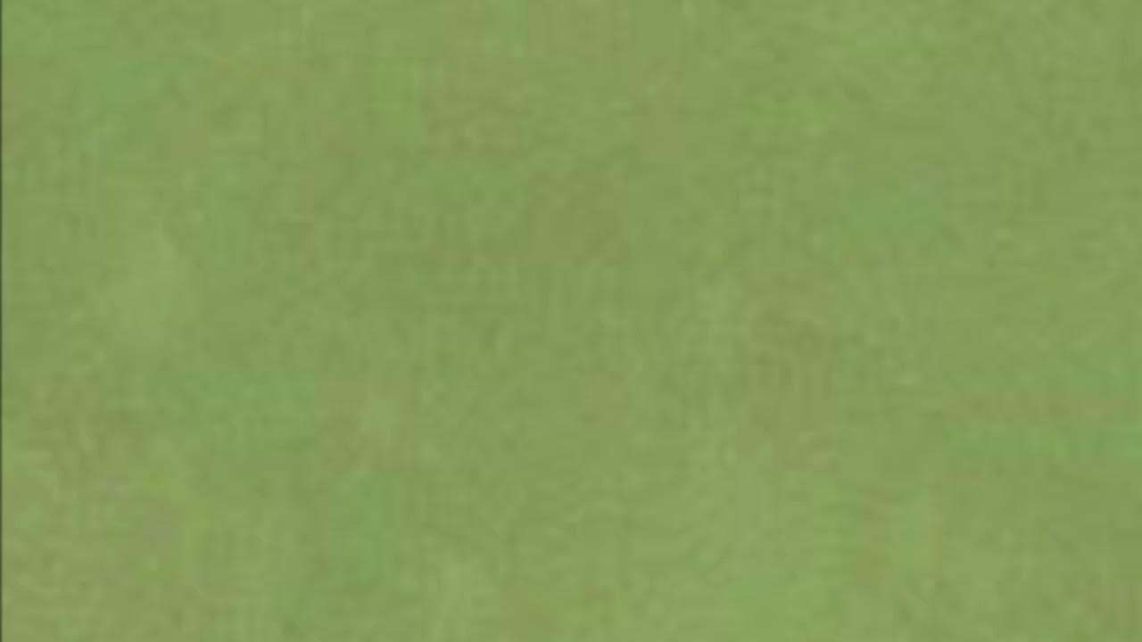 40 minute MOSS GREEN SCREEN