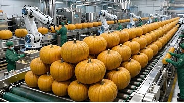 Inside a Pumpkin Soup Factory: How They Harvest Fresh Pumpkins and Make Pumpkin Soup (Full Process)