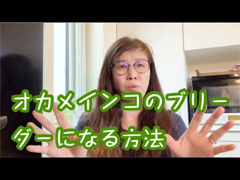 [オカメインコ］オカメインコのブリーダーになる方法　＃オカメインコ＃オカメインコブリーダー＃鳥の販売資格