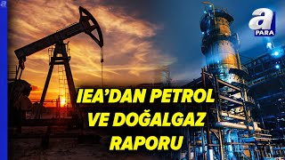Ieadan Petrol Ve Doğalgaz Raporu İklim Hedeflerine Ulaşmak Zorlaşacak A Para
