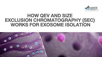 How qEV and Size Exclusion Chromatography (SEC) Works For Exosome Isolation