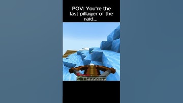 POV: your the last pillager😂 #minecraft #funny