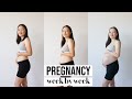 PREGNANCY JOURNEY | Pregnancy Time lapse