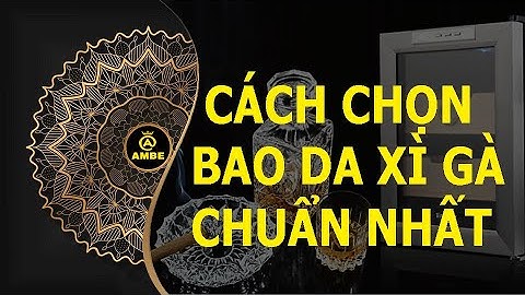 Cách chọn bao da C.i.g.a.r chuẩn nhất | Những điều thú vị về C.i.g.a.r 12 | Ambe