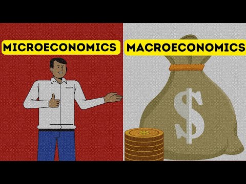 Video: Examples of macroeconomics in human life