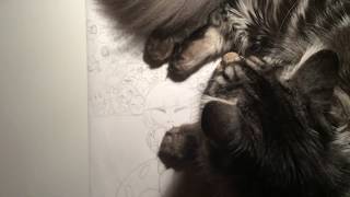 Preparation for speed drawing...
This is why i never have my cats in my room when I make a new video Preparation for speed drawing...